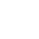 Icone tiktok